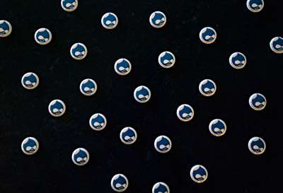Druplicon pins