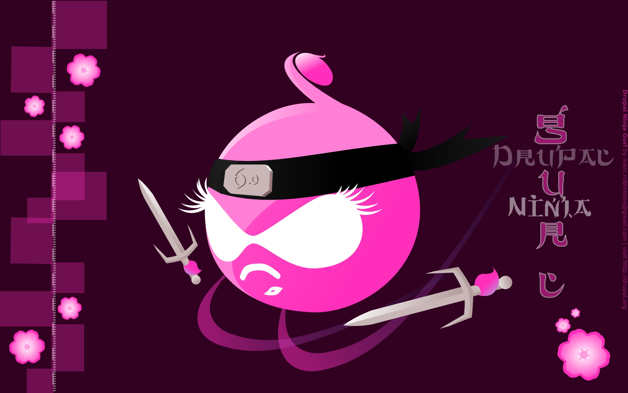 Pink Ninja