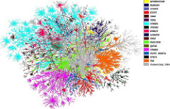 Map of Internet