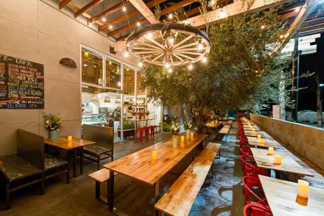 Sage Bistro in Culver City. Wooden tables, indoor plants, candles and an all-organic beer menu.