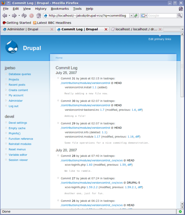 Screenshot of Commit Log