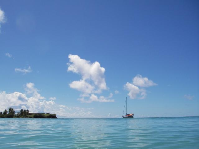 Aux Salines, dans l'eau - Martinique, 2009
