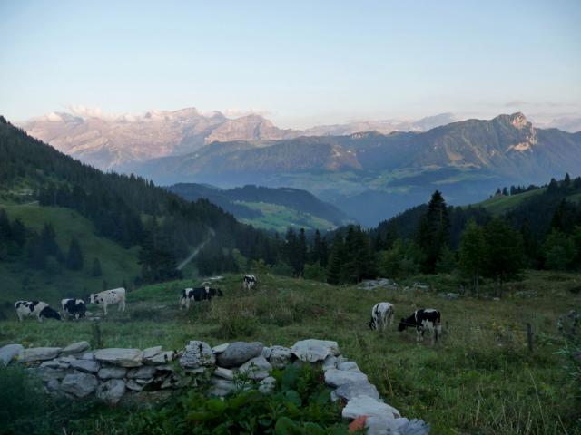 Swiss Romande Image