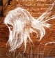 mmomtcheva's picture