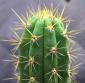 emmonsaz's picture