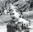 mojobaer's picture