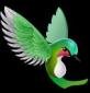 bindhu's picture