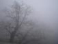 ghosts's picture