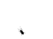 CosminG's picture
