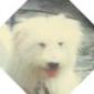 dennys's picture dennys's picture